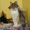 Отзыв от Софья Дегтярева